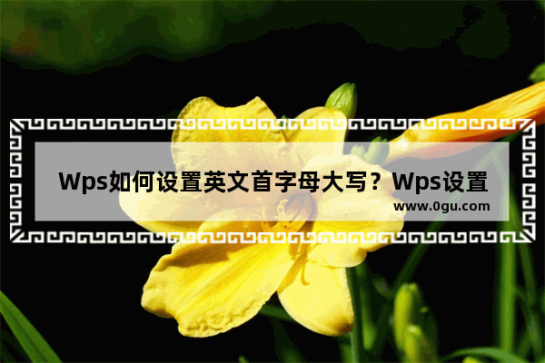 Wps如何设置英文首字母大写？Wps设置英文首字母大写的方法