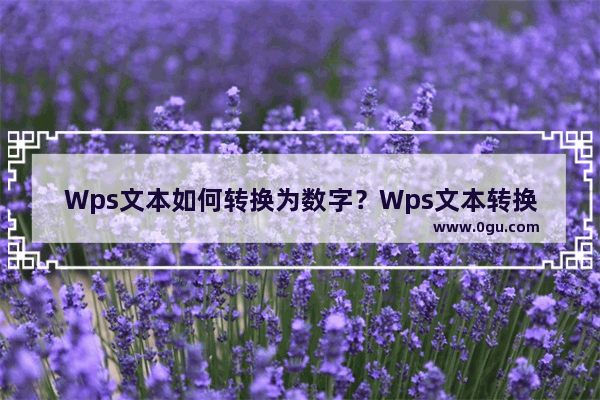 Wps文本如何转换为数字？Wps文本转换为数字的方法