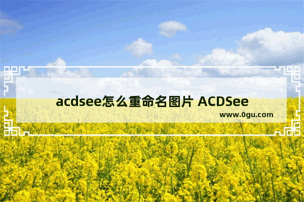 acdsee怎么重命名图片 ACDSee批量修改图片名称的方法