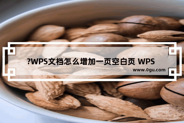 ?WPS文档怎么增加一页空白页 WPS Word新增一页空白页面的方法教程