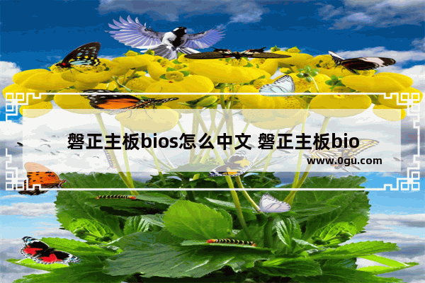 磐正主板bios怎么中文 磐正主板bios中文图解