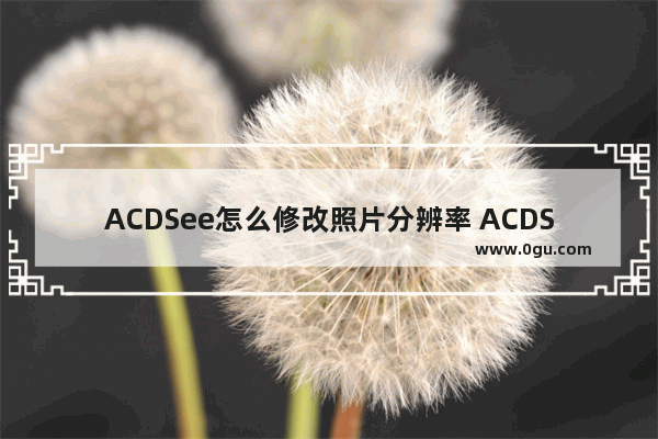 ACDSee怎么修改照片分辨率 ACDSee批量调整照片分辨率大小的方法