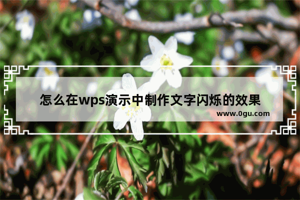 怎么在wps演示中制作文字闪烁的效果