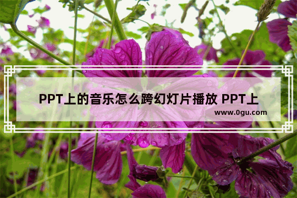 PPT上的音乐怎么跨幻灯片播放 PPT上的音乐跨幻灯片播放的方法