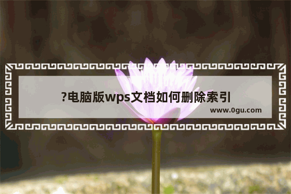 ?电脑版wps文档如何删除索引