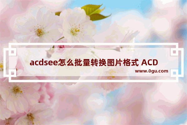 acdsee怎么批量转换图片格式 ACDSee批量转换图片格式的方法