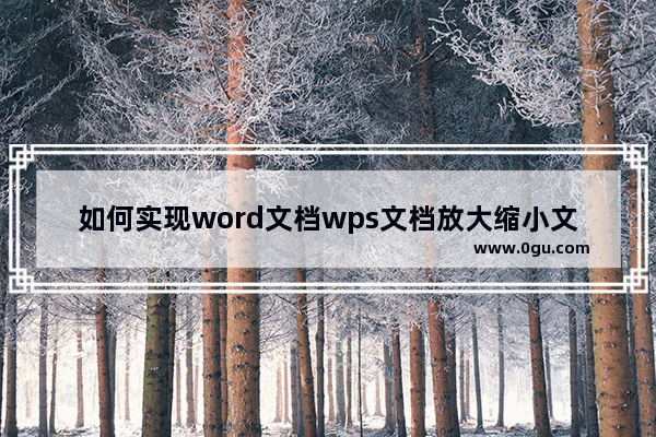 如何实现word文档wps文档放大缩小文档显示?