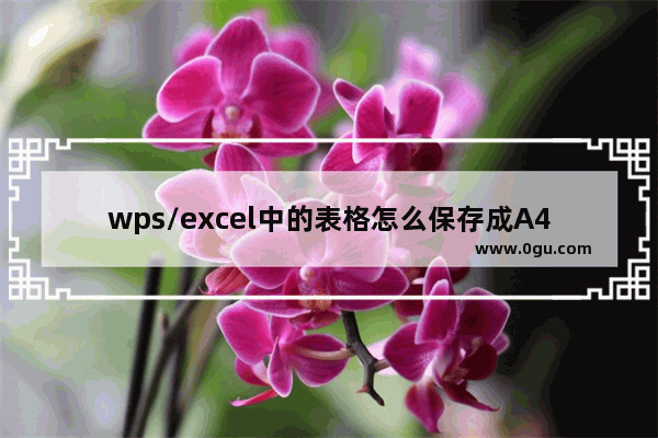 wps/excel中的表格怎么保存成A4图片?