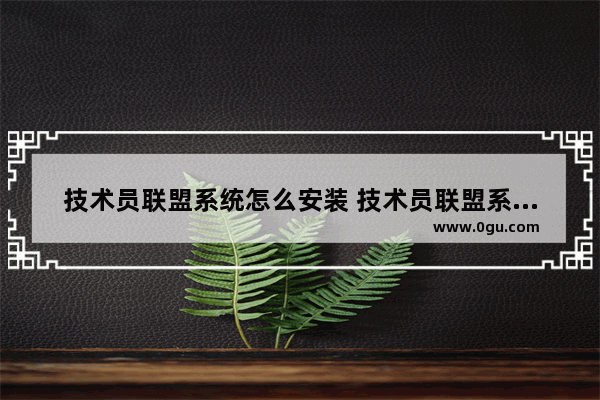 技术员联盟系统怎么安装 技术员联盟系统怎么安装软件