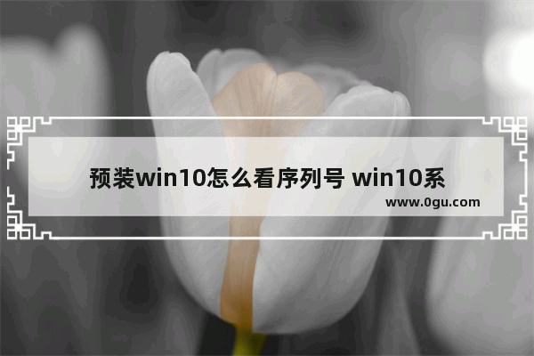 预装win10怎么看序列号 win10系统怎么看序列号