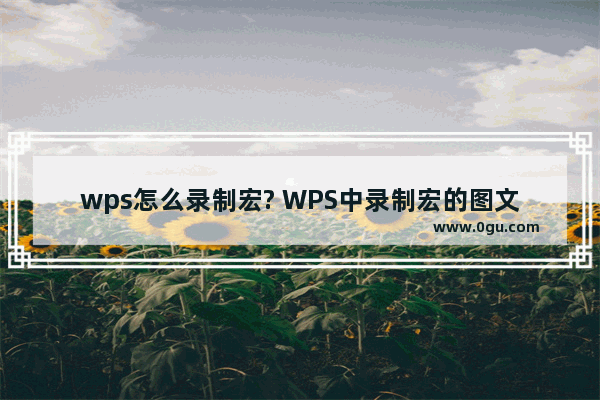 wps怎么录制宏? WPS中录制宏的图文教程