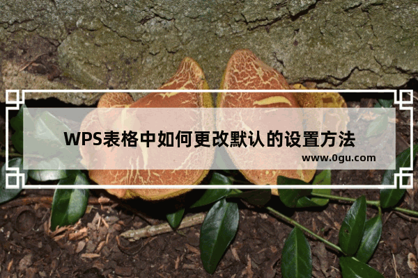 WPS表格中如何更改默认的设置方法