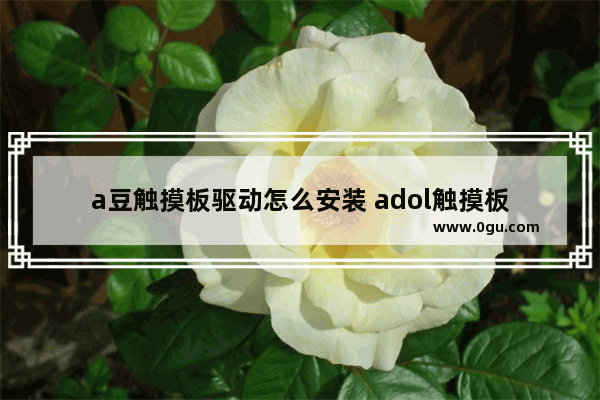 a豆触摸板驱动怎么安装 adol触摸板