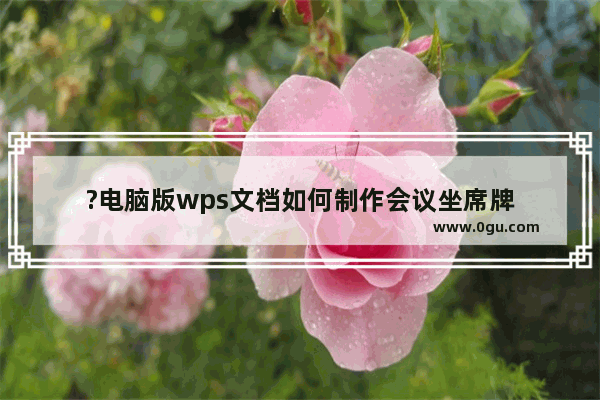 ?电脑版wps文档如何制作会议坐席牌