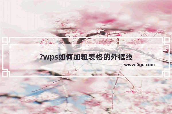 ?wps如何加粗表格的外框线