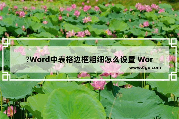 ?Word中表格边框粗细怎么设置 Word文档中调整表格边框线粗细的方法教程