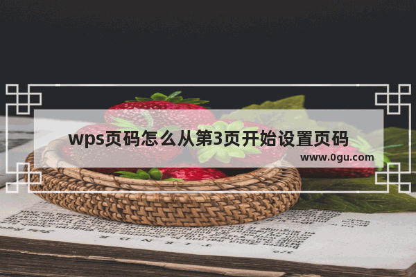 wps页码怎么从第3页开始设置页码