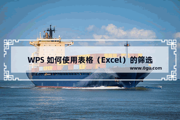 WPS 如何使用表格（Excel）的筛选功能？