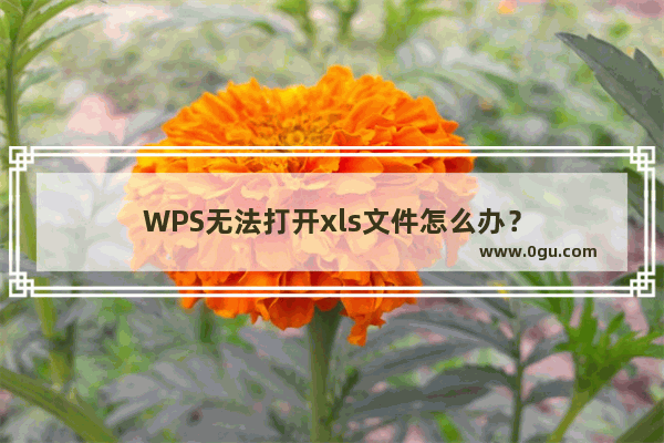 WPS无法打开xls文件怎么办？