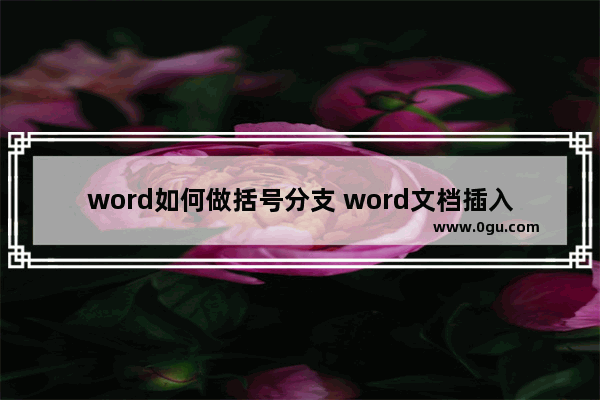 word如何做括号分支 word文档插入括号公式的方法