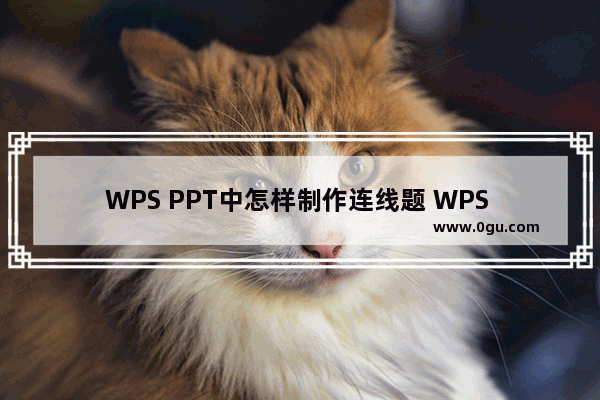 WPS PPT中怎样制作连线题 WPS PPT中制作连线题的方法