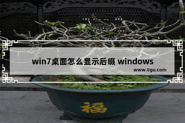 win7桌面怎么显示后缀 windows7怎么显示后缀