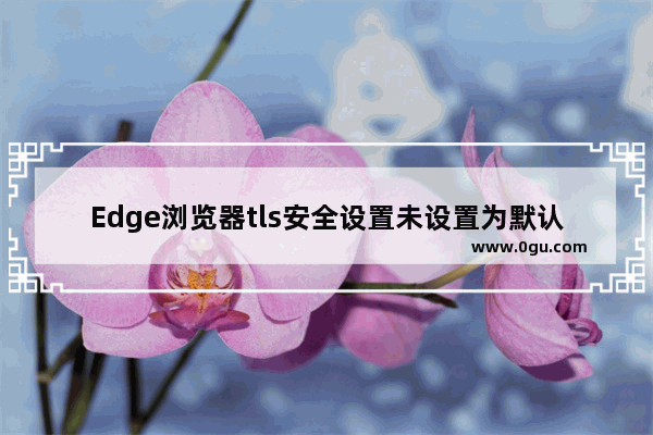 Edge浏览器tls安全设置未设置为默认怎么办 Edge浏览器tls安全设置未设置为默认的解决方法