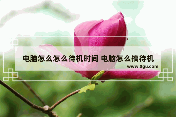 电脑怎么怎么待机时间 电脑怎么搞待机