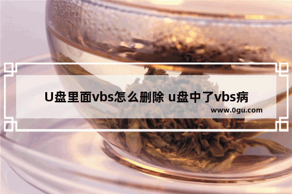 U盘里面vbs怎么删除 u盘中了vbs病毒怎么办