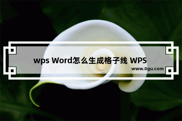 wps Word怎么生成格子线 WPS Word设置网格线的方法