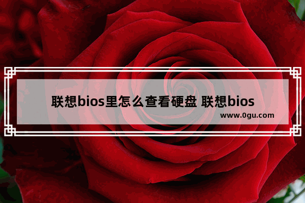 联想bios里怎么查看硬盘 联想bios里怎么查看硬盘型号