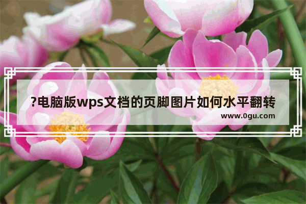 ?电脑版wps文档的页脚图片如何水平翻转