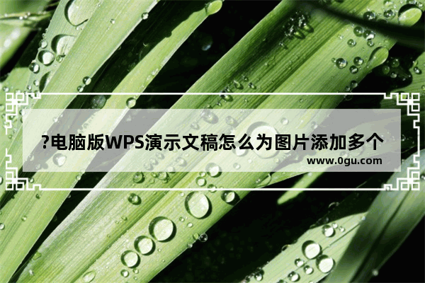 ?电脑版WPS演示文稿怎么为图片添加多个动画