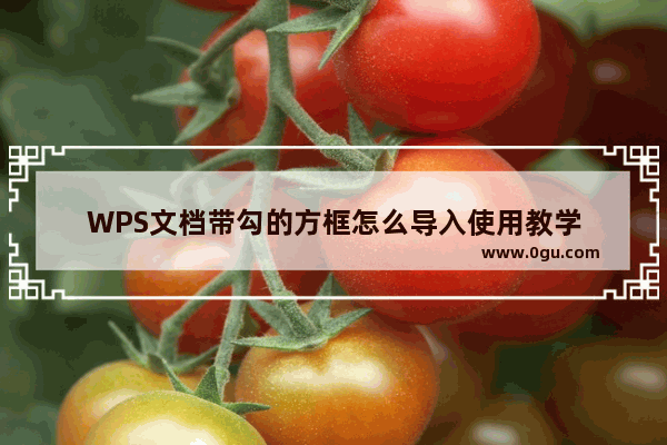 WPS文档带勾的方框怎么导入使用教学