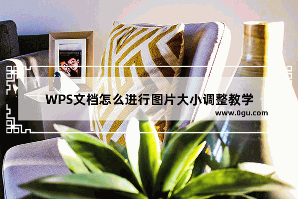 WPS文档怎么进行图片大小调整教学