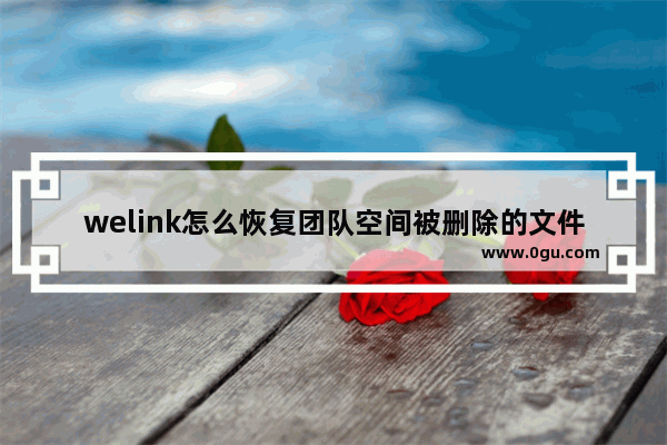 welink怎么恢复团队空间被删除的文件 welink恢复团队空间被删除的文件的方法