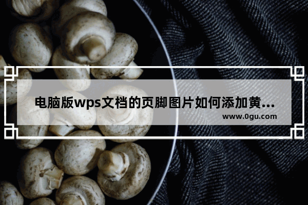 电脑版wps文档的页脚图片如何添加黄色边框