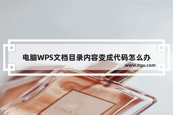 电脑WPS文档目录内容变成代码怎么办