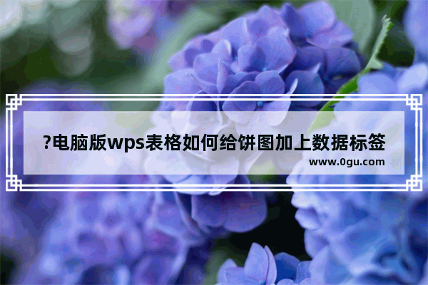 ?电脑版wps表格如何给饼图加上数据标签