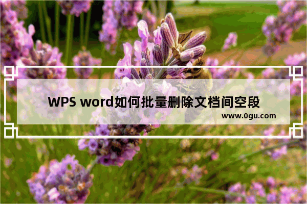 WPS word如何批量删除文档间空段