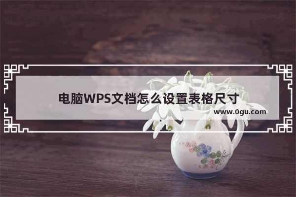 电脑WPS文档怎么设置表格尺寸