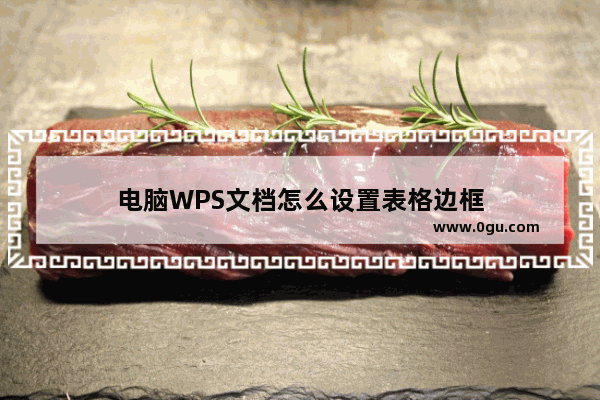 电脑WPS文档怎么设置表格边框