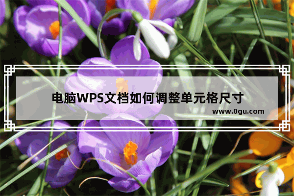 电脑WPS文档如何调整单元格尺寸