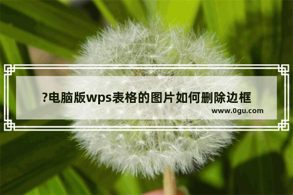 ?电脑版wps表格的图片如何删除边框