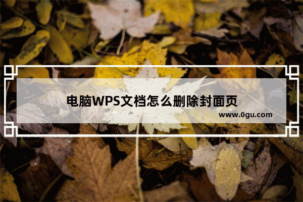 电脑WPS文档怎么删除封面页