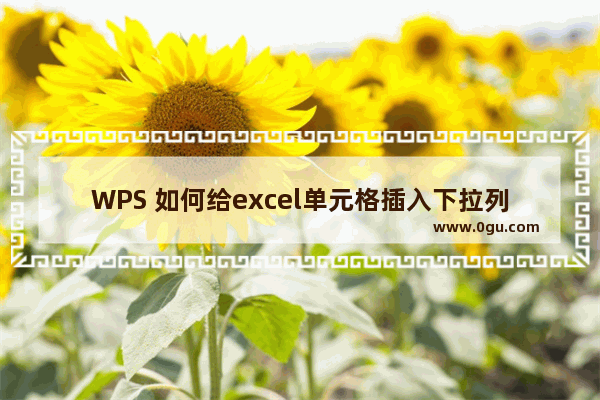 WPS 如何给excel单元格插入下拉列表