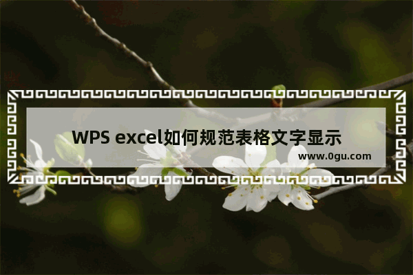 WPS excel如何规范表格文字显示