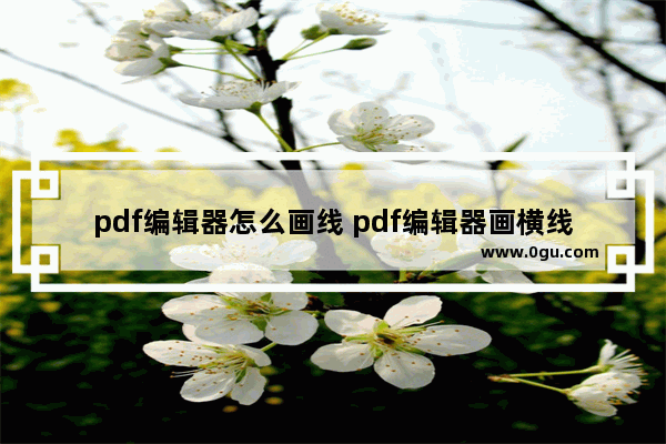 pdf编辑器怎么画线 pdf编辑器画横线的方法