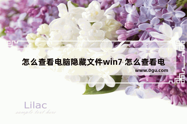 怎么查看电脑隐藏文件win7 怎么查看电脑隐藏文件win7系统