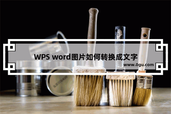 WPS word图片如何转换成文字